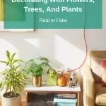 My favorite tips for decorating with flowers, trees, and plants
