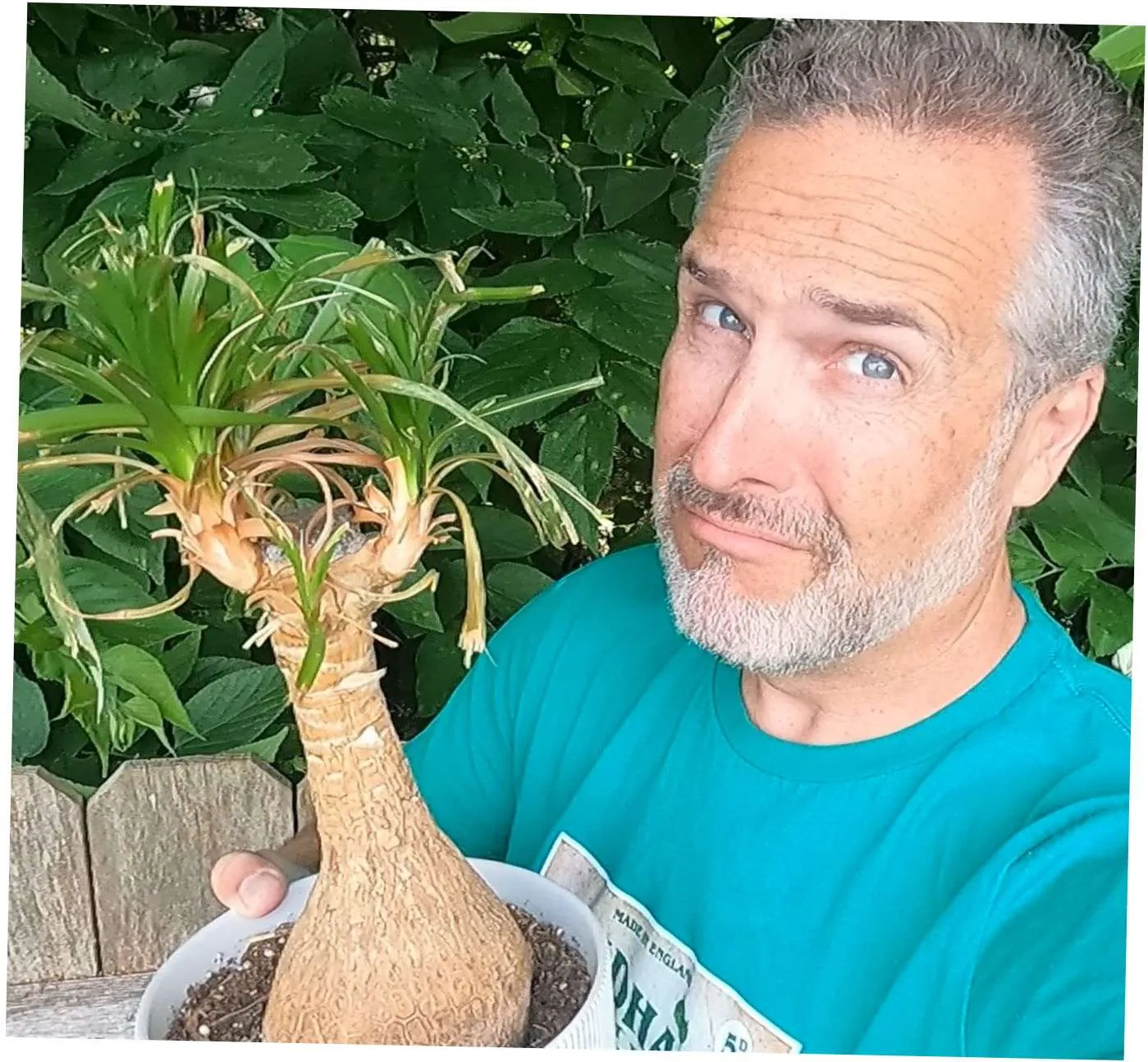 My Almost Green Thumb - Homepage Sad Plant