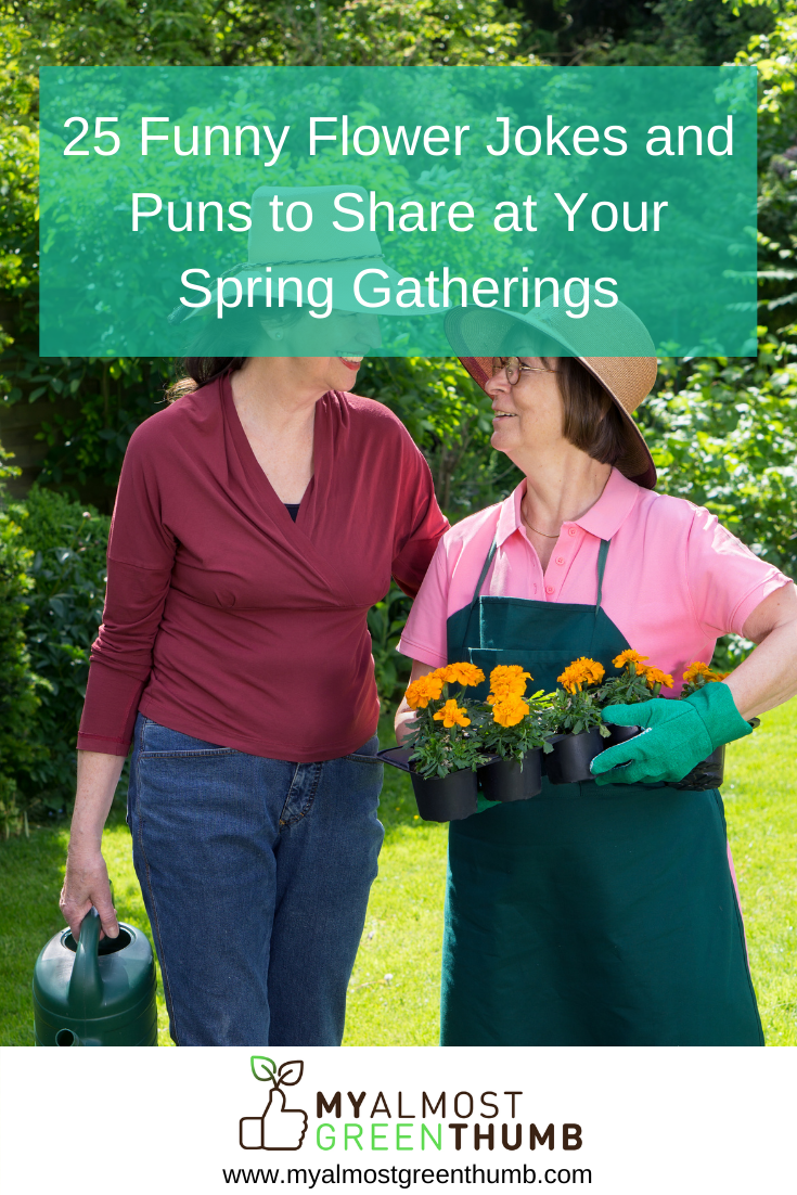 25 Funny Flower Jokes and Puns to Share at Your Spring Gatherings