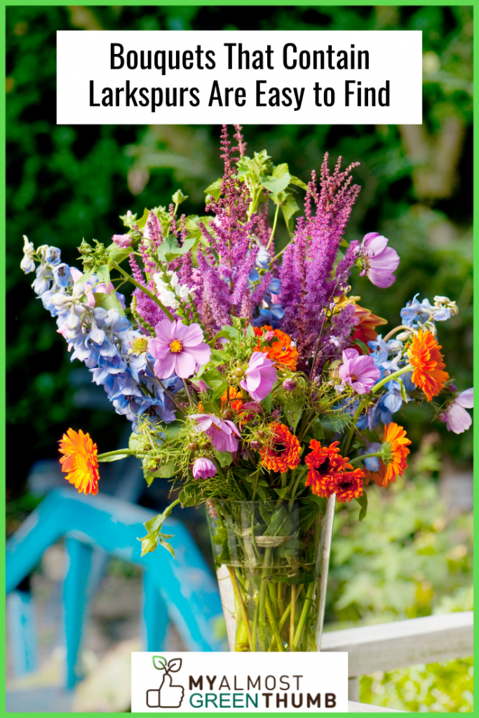 Bouquets That Contain Larkspurs Are Easy to Find for july birthday gift