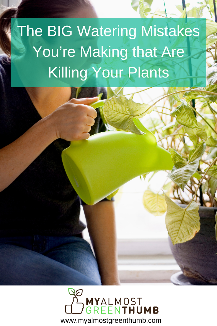 The BIG Watering Mistakes You’re Making that Are Killing Your Plants