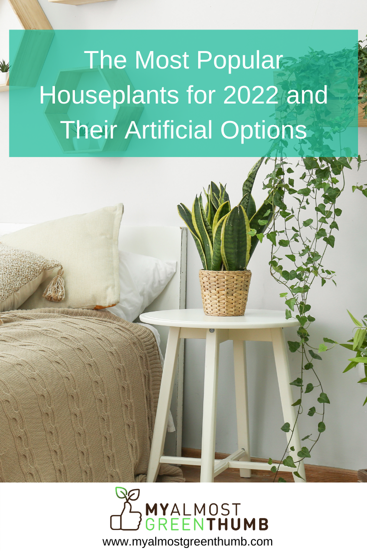 The Most Popular Houseplants for 2022 and Their Artificial Options My