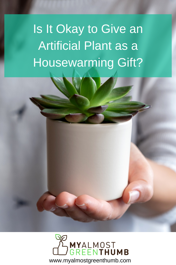 Is It Okay to Give an Artificial Plant as a Housewarming Gift