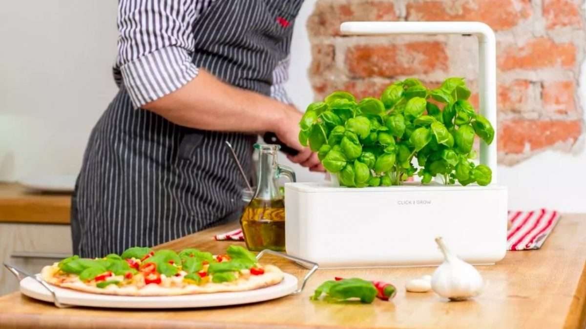 Click & Grow Indoor Garden Review