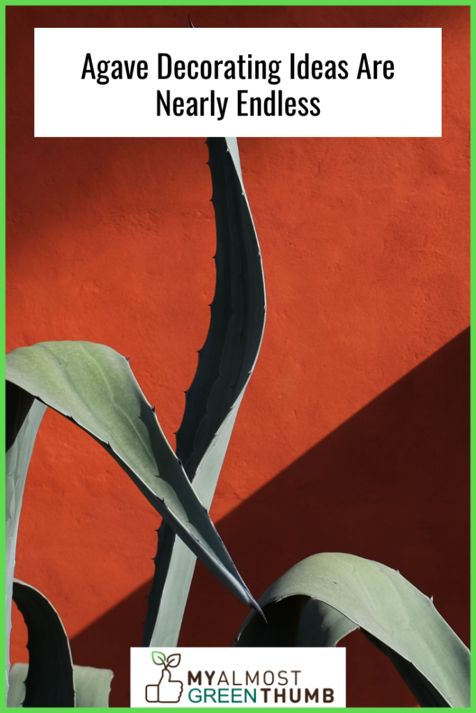 Agave Decorating Ideas Are Nearly Endless