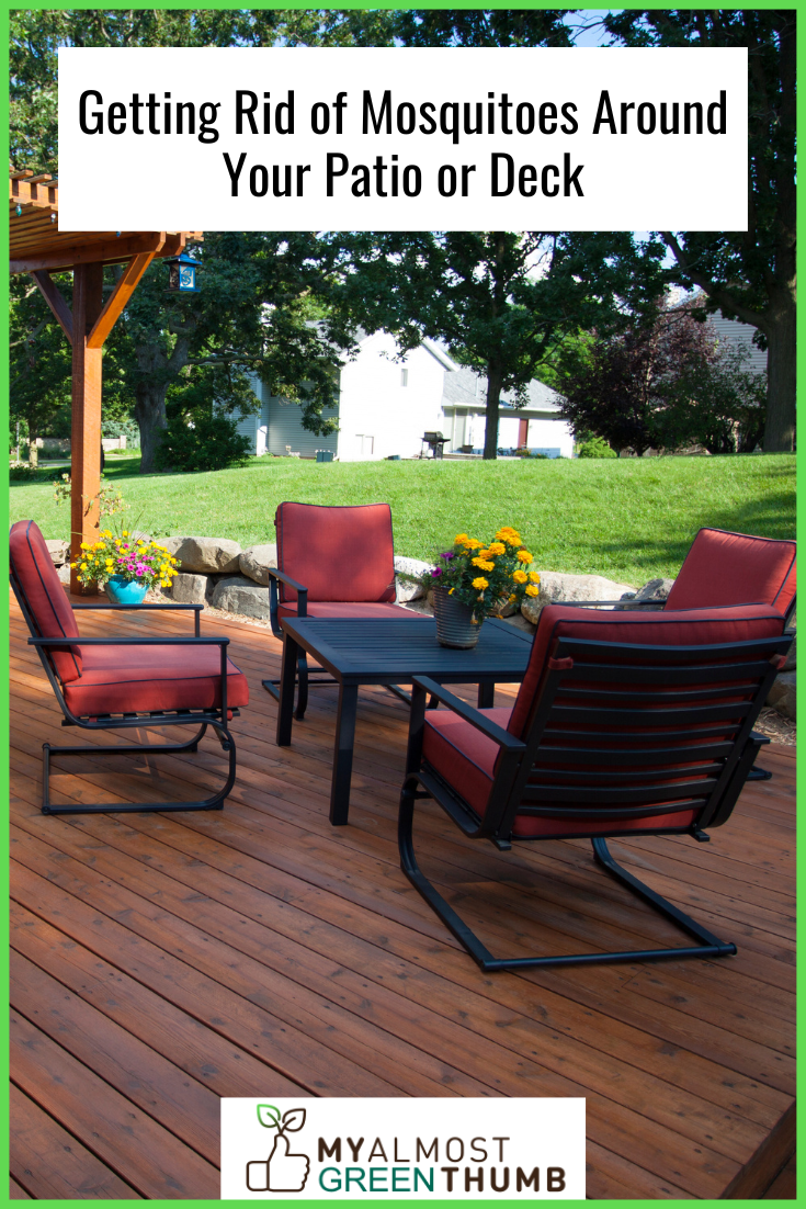10 Tips to Get Rid of Patio and Porch Pests This Summer My Almost Green Thumb