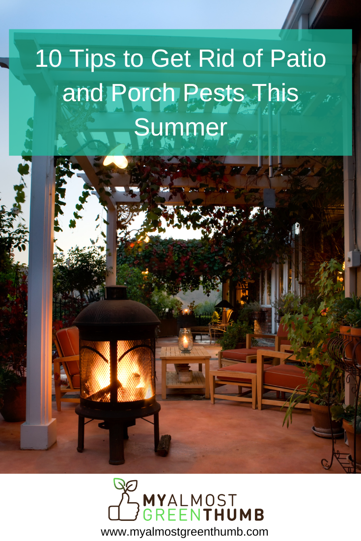 10 Tips to Get Rid of Patio and Porch Pests This Summer