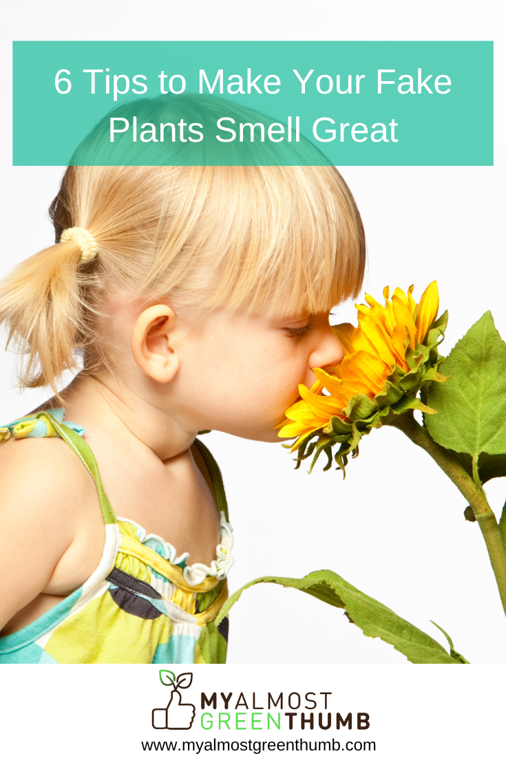 6 Tips to Make Your Fake Plants Smell Great
