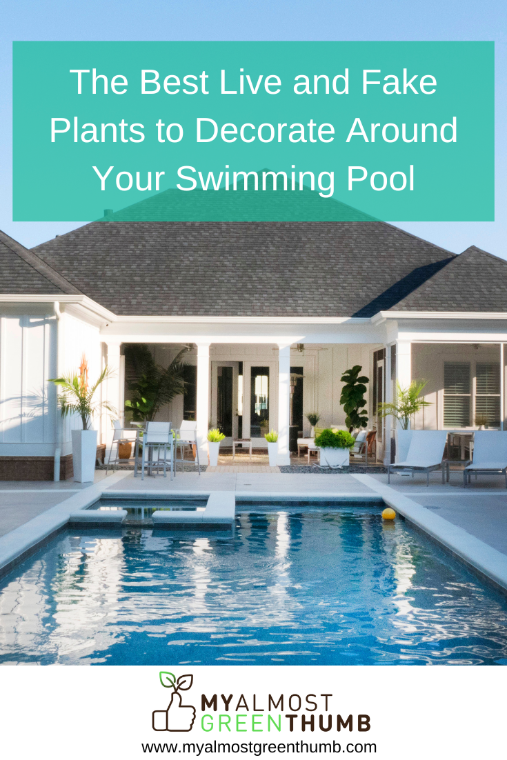 The Best Live and Fake Plants to Decorate Around Your Swimming Pool